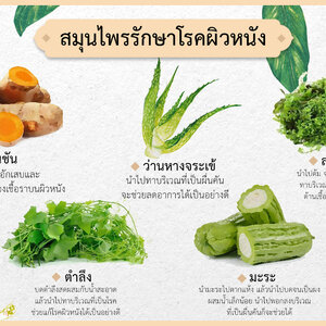 สมุนไพรรักษาโรคผิวหนัง