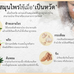 สมุนไพร...ใช้เมื่อ "เป็นหวัด"