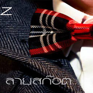 SCOTTz Style Collection (หูกระต่าย ลายสก๊อต)