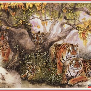 -ANIMALS(ภาพสัตว์)