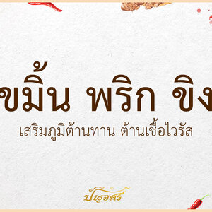 ขมิ้น พริก ขิง เสริมภูมิต้านทาน ต้านเชื้อไวรัส