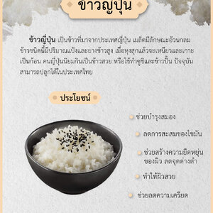 คุณประโยชน์ของ ข้าวญี่ปุ่น