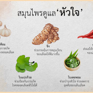 สมุนไพรดูแล "หัวใจ"