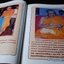 ประวัติหลวงพ่อพระราชพรหมยาน ฤาษีลิงดำ วัดท่าซุง พิมพ์ปี 2538