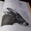 Mammals of Thailand by Boonsong Lekagul & Jeffrey A.Mc Neely 1`st Edition 1977 (สอบถาม)