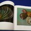 THE SHELL five hundred million year of inspired design by HUGH and MARGUERITE STIX and R.TUCKER ABBOTT ปกแข็ง 396 หน้า ปี 1988