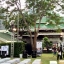 ไฟราวปิงปองให้เช่า #ไฟงานเลี้ยงให้เช่า ยาว 200 เมตร ติดตั้งบ้านปาร์คนายเลิศ