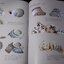 The Ming Gap and Shipwreck Ceramics in Southeast Asia Towards a Chronology of Thai Trade Ware by Roxanna Maude Brown