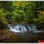 NATURAL วอลเปเปอร์รูปภาพติดผนังสั่งทำ มีภาพให้เลือกกว่า 50,000 ภาพ ออกแบบกราฟฟิค หรือ รูปภาพตามที่ท่านกำหนด ในสไตล์ท่านเอง "custom made"