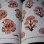 Traditional Designs From India for Artists and Caftsmen