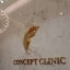 โลโก้ อักษรแสตนเลสหน้าทองเงา - CONCEPT CLINIC