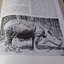 Mammals of Thailand by Boonsong Lekagul & Jeffrey A.Mc Neely 1`st Edition 1977 (สอบถาม)