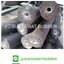Aeroflex ฉนวนหุ้มท่อ EPDM Closed Cell