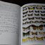 moths of thailand vol.3 noctuidae by vladimir s.kononenko and amnuay pinratana