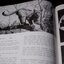 Mammals of Thailand by Boonsong Lekagul & Jeffrey A.Mc Neely 1`st Edition 1977 (สอบถาม)