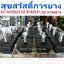 ยางแท่นเครื่อง