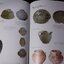 The Ming Gap and Shipwreck Ceramics in Southeast Asia Towards a Chronology of Thai Trade Ware by Roxanna Maude Brown