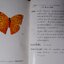 ผีเสื้อในประเทศไทย BUTTERFLIES IN THAILAND เล่ม 1-2 ปกเเข็ง ปี 2517 (สอบถาม)
