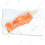 แซลมอนเสียบไม้แช่แข็ง / Frozen Salmon Kushiyaki