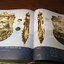 เหรียญยอดนิยม อมตะเเดนสยาม บอย ท่าพระจันทร์ เล่ม 1 ปกเเข็งบรรจุกล่อง (สอบถามราคา)
