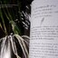 นกไทย ในบันทึกเเละความทรงจำ โดย สุธี ศุภรัฐวิกร พิมพ์ 1000 เล่ม ปี 2558