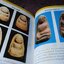 พระถ้ำเสือ มรดกของสุวรรณภูมิ โดย อรุณ ฉายอรุณ หนา 184 หน้า ปี 2551