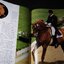 The Noble Horse by Monique and Hans.D.Dossenbach ปกแข็ง 304 หน้า ปี 1998