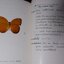 ผีเสื้อในประเทศไทย BUTTERFLIES IN THAILAND เล่ม 1-2 ปกเเข็ง ปี 2517 (สอบถาม)