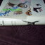 Mammals of Thailand by Boonsong Lekagul & Jeffrey A.Mc Neely 1`st Edition 1977 (สอบถาม)