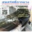 สายน้ำมันแก๊สโซฮอล GASOHOL E10 E20 E85