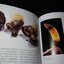 คง เข้ม ข่าม ขลัง เครื่องรางล้านนา โดย วิลักษณ์ ศรีป่าซาง (Pre-Order สอบถาม)