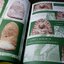 ศึกษาเเละสะสมฉบับพิเศษ พระรอด ลำพูน