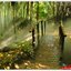NATURAL วอลเปเปอร์รูปภาพติดผนังสั่งทำ มีภาพให้เลือกกว่า 50,000 ภาพ ออกแบบกราฟฟิค หรือ รูปภาพตามที่ท่านกำหนด ในสไตล์ท่านเอง "custom made"