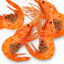 กุ้งหวานใหญ่แช่แข็ง / Frozen Botan Ebi