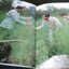 HIS MAJESTY KING BHUMIBHOL ADULYADEJ AND HIS DEVELOPMENT Work ปกแข็ง ปี 2530