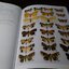 moths of thailand vol.3 noctuidae by vladimir s.kononenko and amnuay pinratana