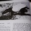 Mammals of Thailand by Boonsong Lekagul & Jeffrey A.Mc Neely 1`st Edition 1977 (สอบถาม)