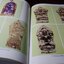 พระเครื่องจักรวาลพระฯ ฉบับ พระเครื่องเมืองลพบุรี โดย ฐิติพงศ์ อุดมรัตนศิลป์ ปกเเข็ง