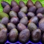 อโวคาโดนำเข้า / Avocado Imported