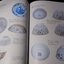 The Ming Gap and Shipwreck Ceramics in Southeast Asia Towards a Chronology of Thai Trade Ware by Roxanna Maude Brown