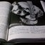 Mammals of Thailand by Boonsong Lekagul & Jeffrey A.Mc Neely 1`st Edition 1977 (สอบถาม)