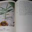 ตำราว่าน 108 เเละสมุนไพร โดย เเสวง เพชรศิริ หนา 252 หน้า ปี 2523