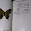 ผีเสื้อในประเทศไทย BUTTERFLIES IN THAILAND เล่ม 1-2 ปกเเข็ง ปี 2517 (สอบถาม)