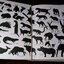 Mammals of Thailand by Boonsong Lekagul & Jeffrey A.Mc Neely 1`st Edition 1977 (สอบถาม)