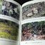 วาระสุดท้ายเเละสิ่งที่เป็นอมตะของสมเด็จพระนเรศวรมหาราชอยู่ที่ไหน(ฉบับสมบูรณ์) โดย พลตรี พิจิตร ขจรกล่ำ เเละคณะ
