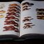 Mammals of Thailand by Boonsong Lekagul & Jeffrey A.Mc Neely 1`st Edition 1977 (สอบถาม)