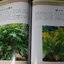 คู่มือ ปาล์มประดับ( Ornamental palm)โดย ดร.ปิยะ เฉลิมกลิ่น ปกเเข็ง 303 หน้า ปี 2530
